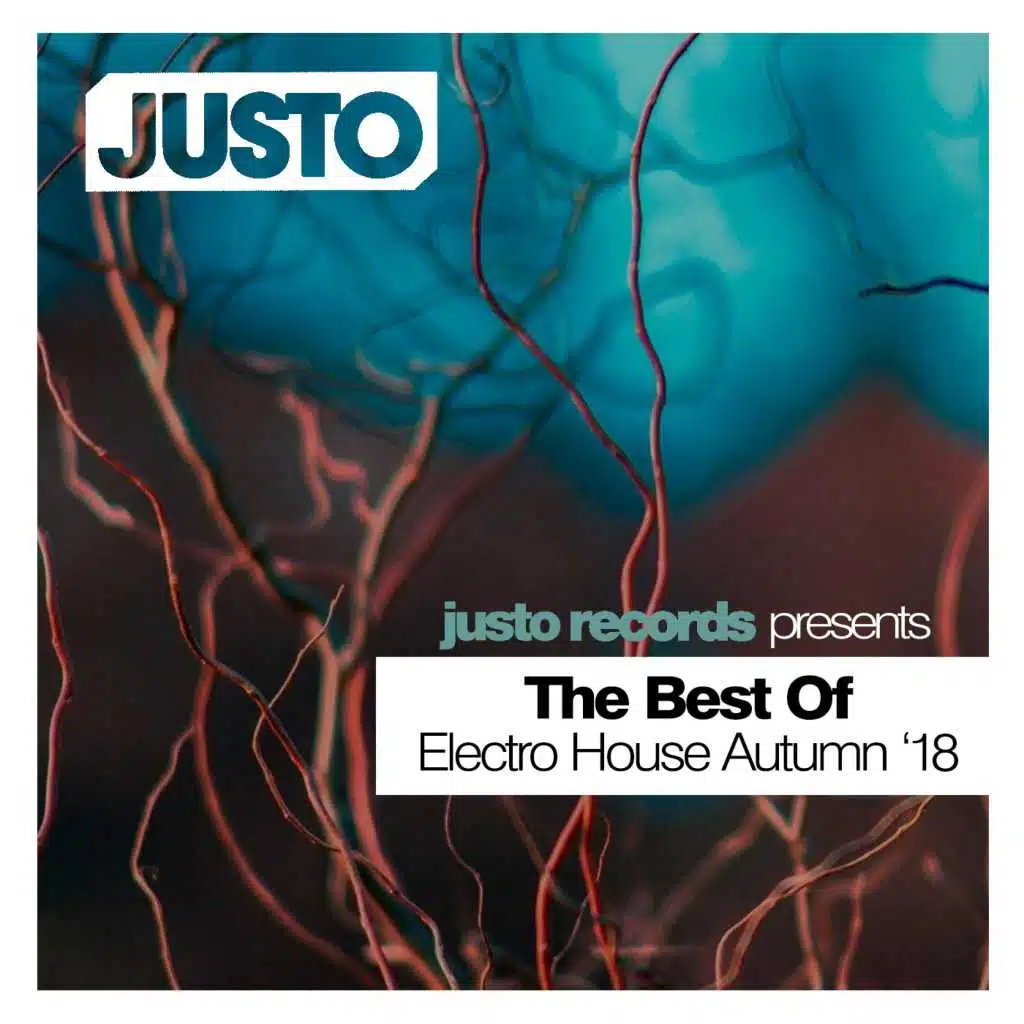 The Best of Electro House Autumn '18