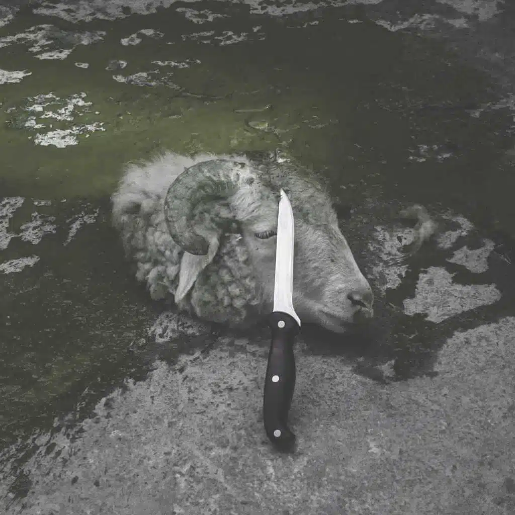 They Kill Themselves