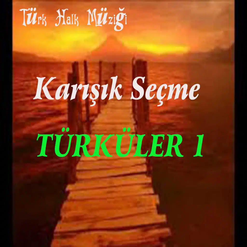 Türk Halk Müziği Karışık Seçme Türküler, Vol. 1