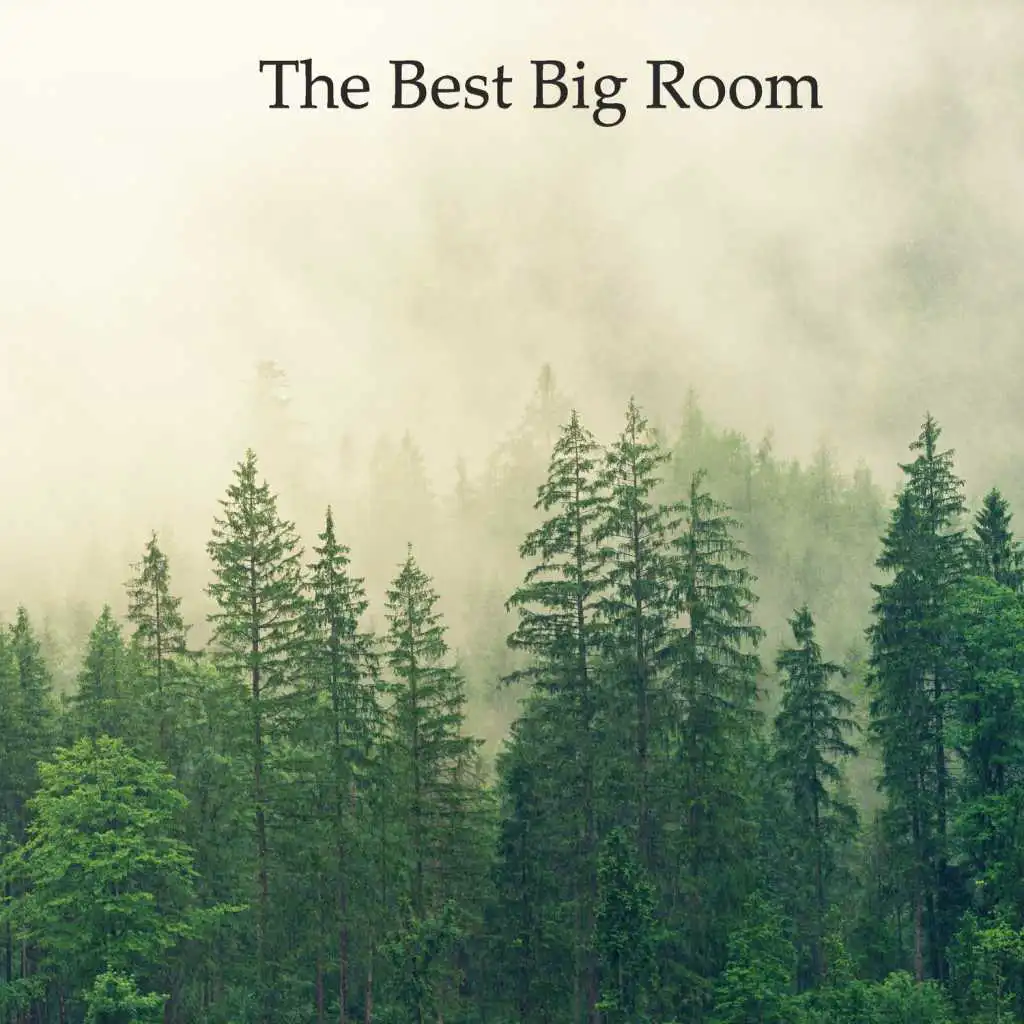 The Best Big Room Pt.012