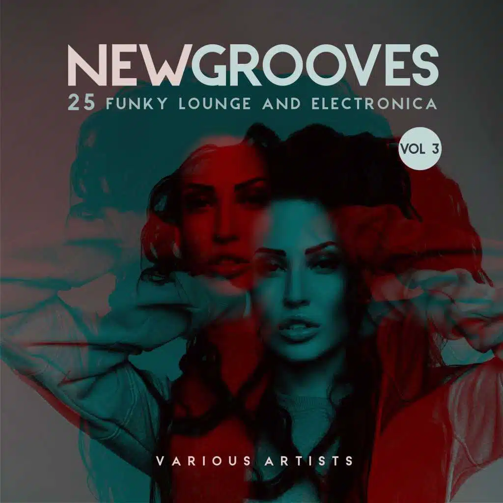 New Grooves, Vol. 3 (25 Funky Lounge & Electronica)