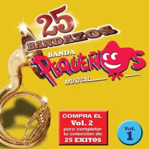 25 Bandazos de Pequeños Musical (Vol. 1) (USA)