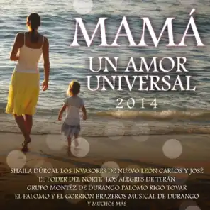 Mamá Un Amor Universal 2014