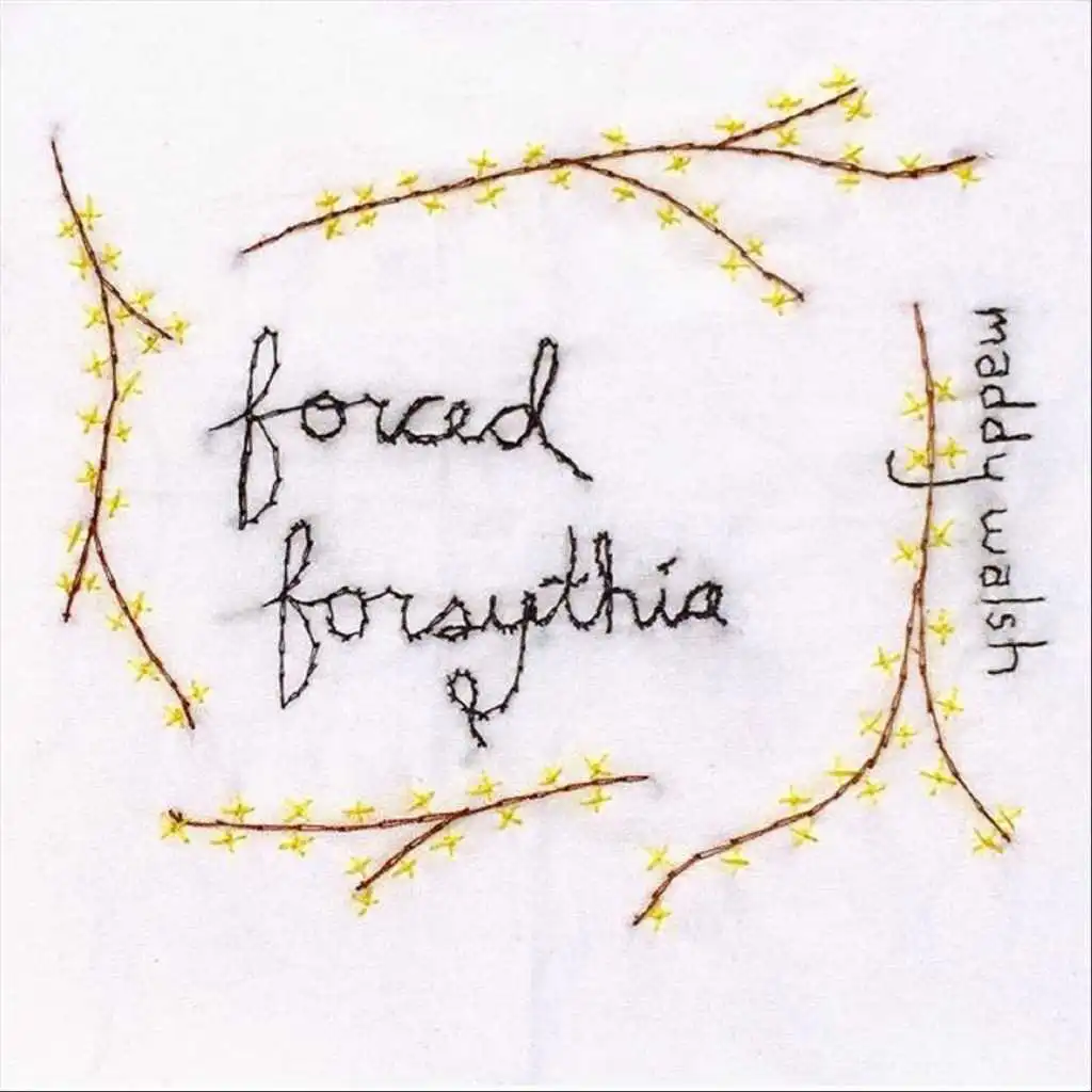 Forced Forsythia