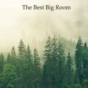 The Best Big Room Pt.015