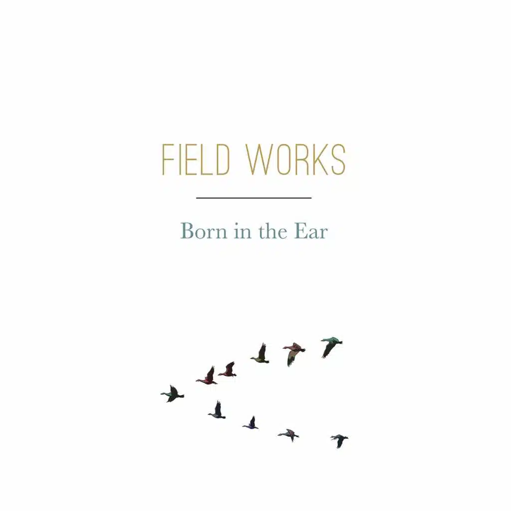 Field Works & Eluvium