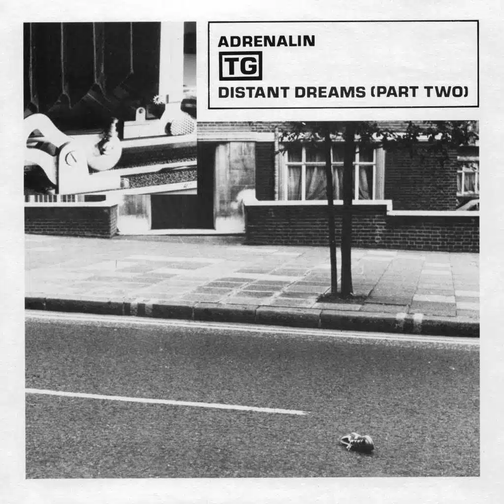 Adrenalin / Distant Dreams,&nbsp;Pt.&nbsp;2