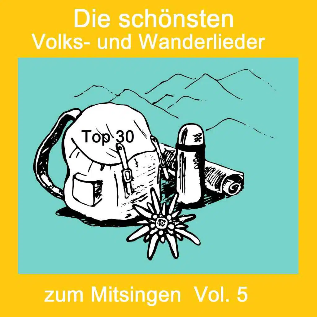 Top 30: Die schönsten Volks- Und Wanderlieder zum Mitsingen, Vol. 5