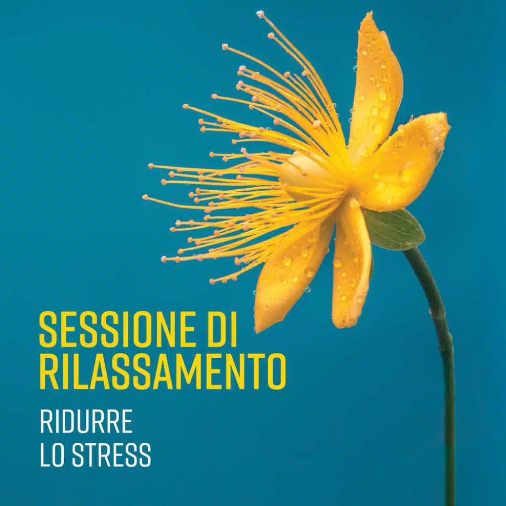 Sessione di rilassamento