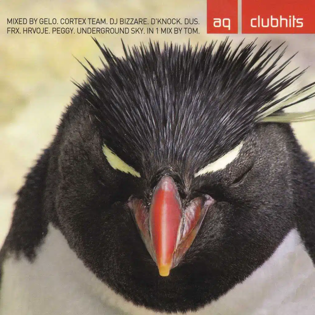 Sjaj U Tami (Underground Sky Remix)