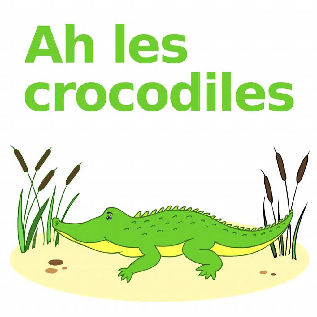 Ah les Crocodiles (version bajo)