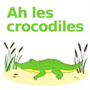 Ah les crocodiles