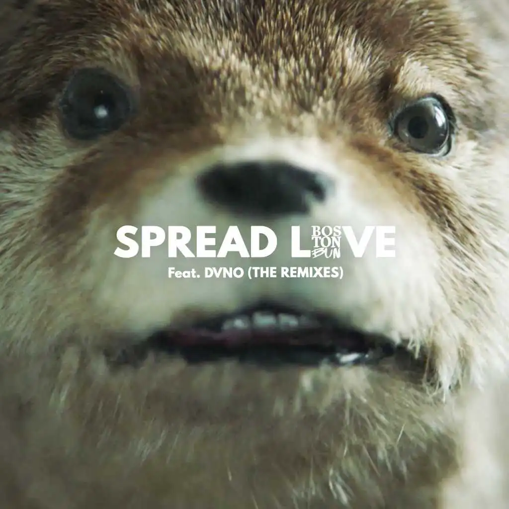 Spread Love (Paddington) [feat. DVNO] [Mercer Remix]