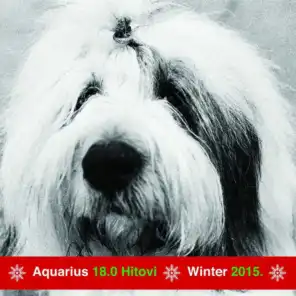 Aquarius 18.0 Hitovi - Winter 2015