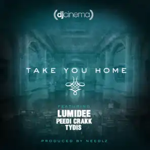 Take You Home (feat. Lumidee, Peedi Crakk & Tydis)