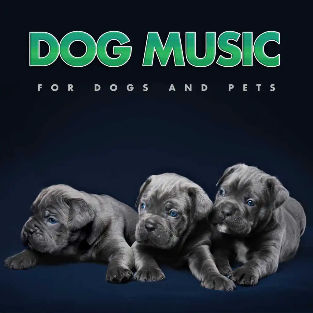 Dog Music For Dogs and Pets