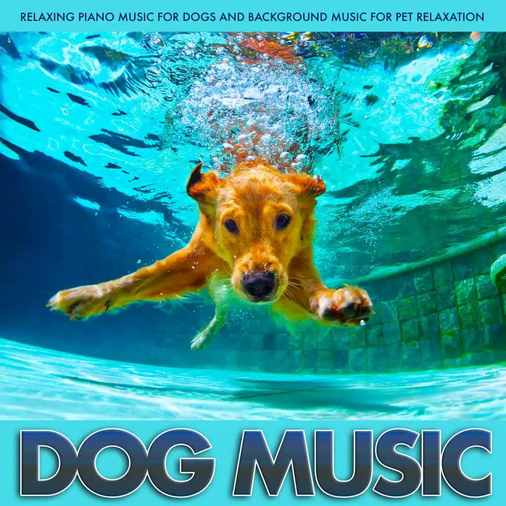Dog Music: Relaxing Piano Music For Dogs and Background Music For Pet Relaxation