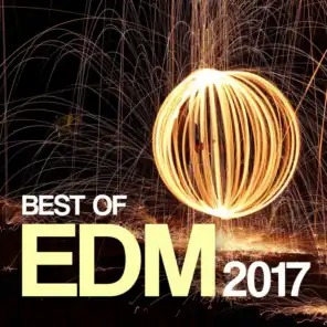 Best of EDM 2017