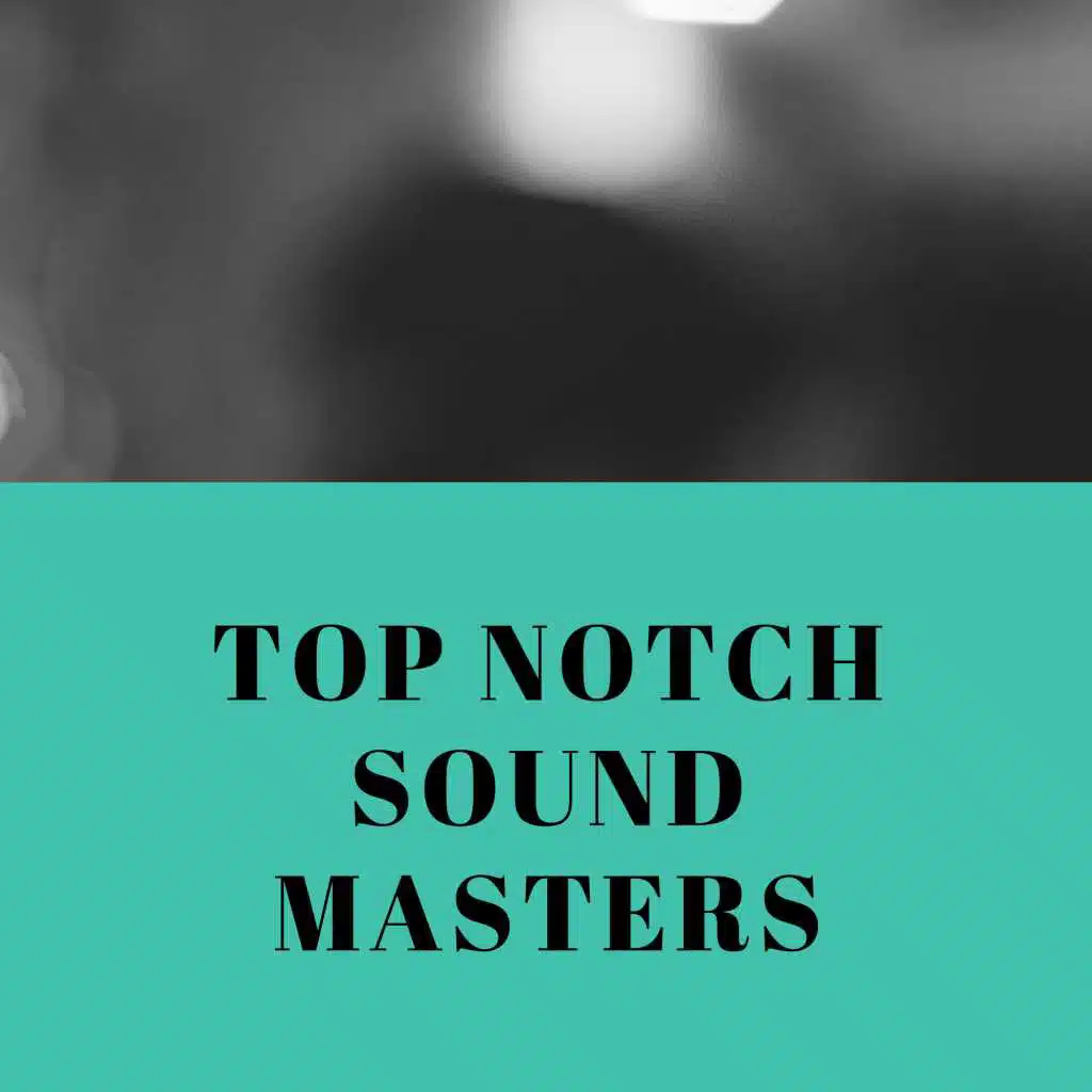 TOP NOTCH SOUND MASTERS
