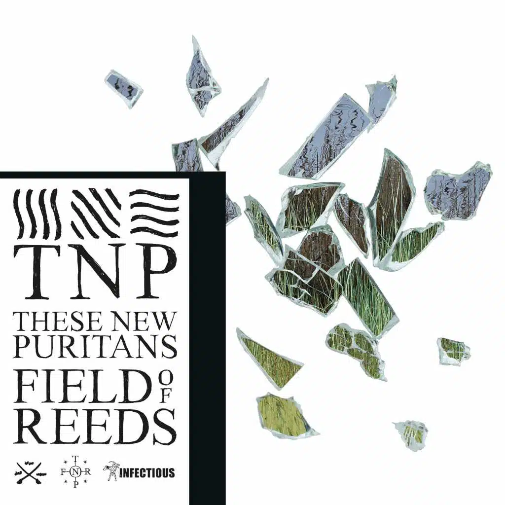 The Light in Your Name