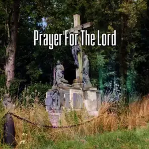 Prayer For The Lord