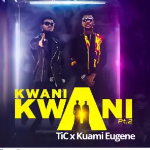 Kwani Kwani, Pt. 2 (feat. Kuami Eugene)
