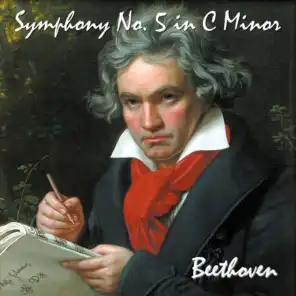 Symphony No. 5 in C Minor, Op. 67. Great for Baby's Brain, Mozart Effect, Mood Enhancement, Stress Reduction and Pure Enjoyment.