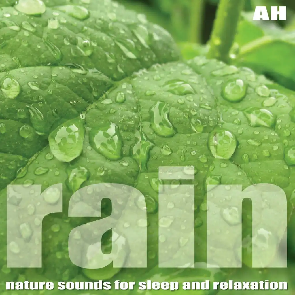 Rain Meditation