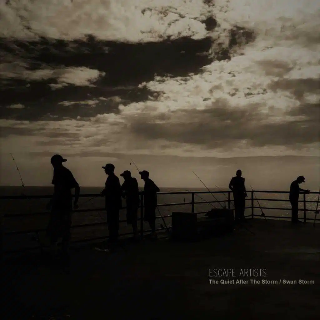 The Quiet After the Storm / Swan Storm