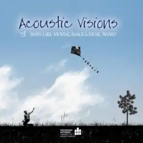 Acoustic Visions: Swan Lake Moving Image & Music Award