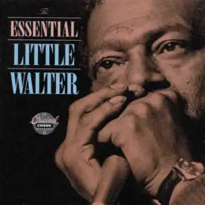 The Essential Little Walter
