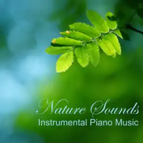 Nature Sounds - Instrumental Piano Music