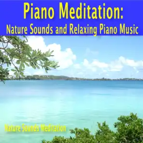 Piano Meditation: Nature Sounds and Relaxing Piano Music