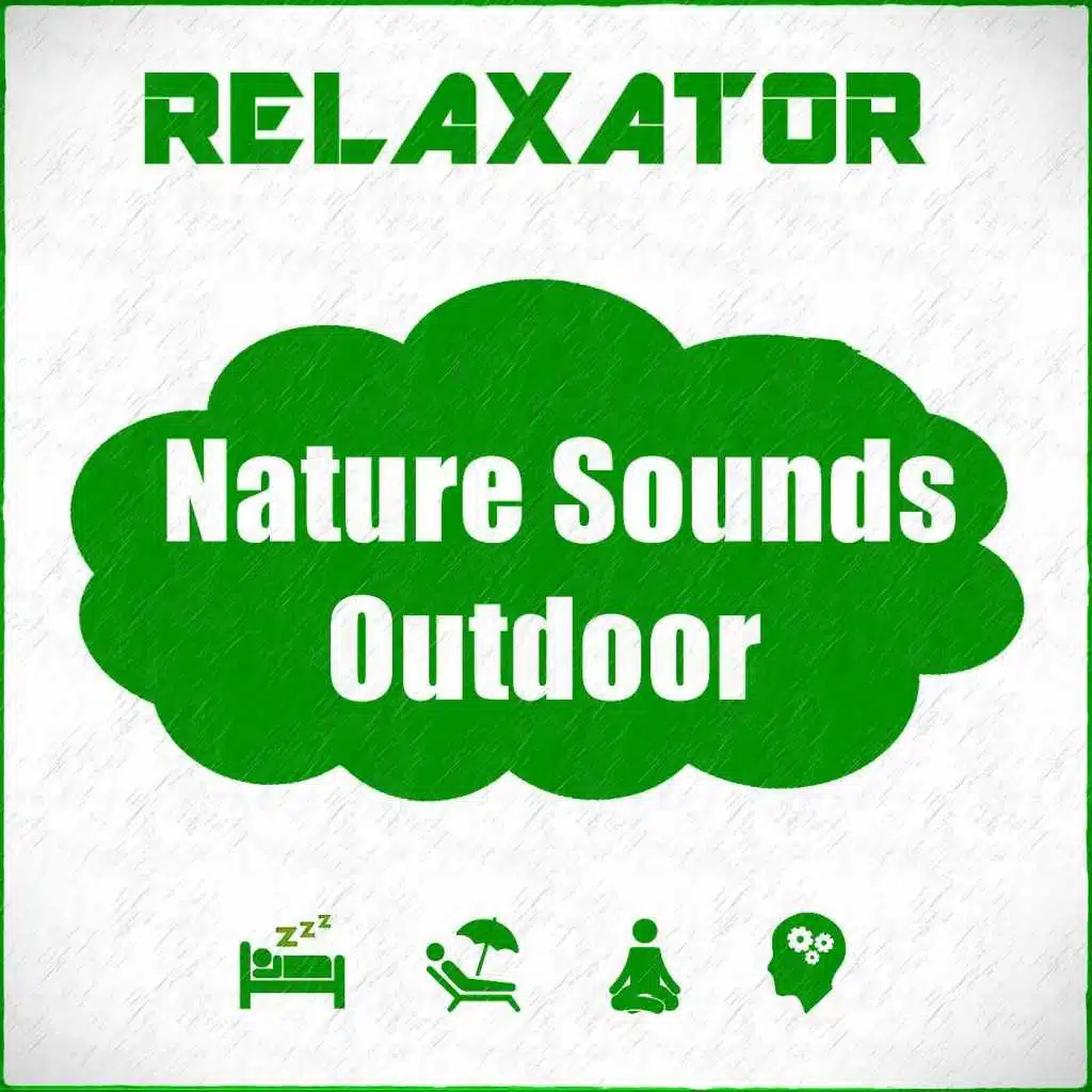 Nature Sounds Outdoor