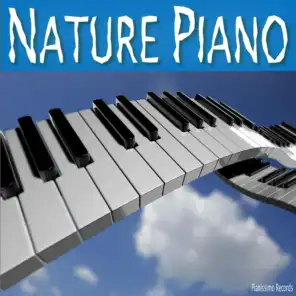 Night Sound With Beautiful Piano Music
