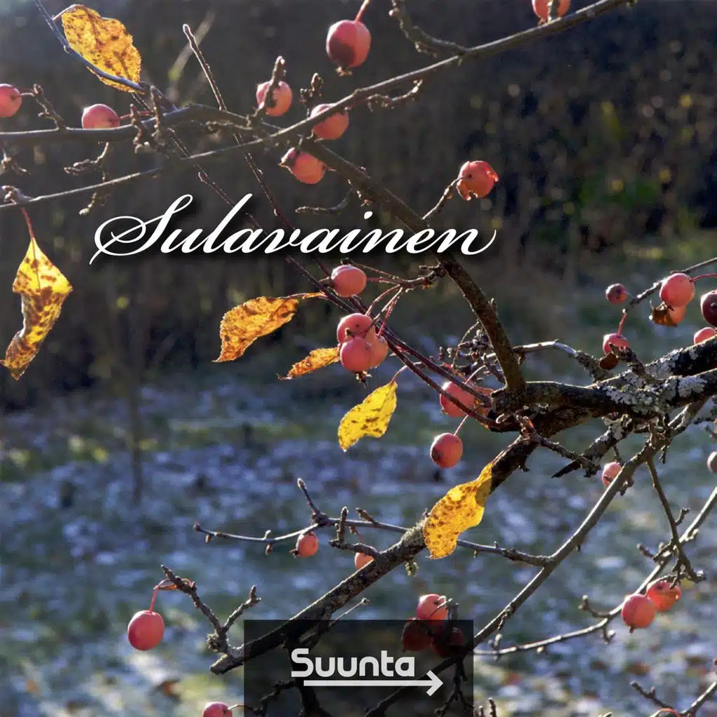 Sulavainen