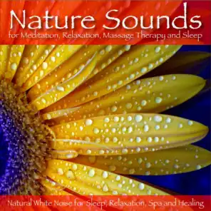 Night Sounds: Calming, Soothing Music and Piano