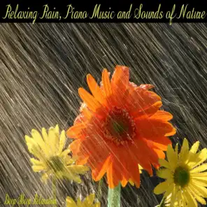 Relaxing Rain, Piano Music and Sounds of Nature