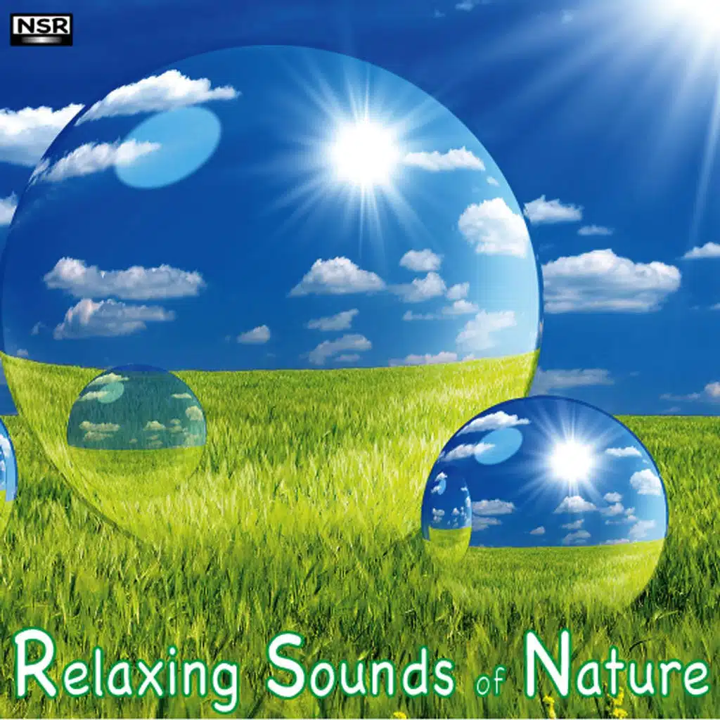Relaxing Sounds of Nature