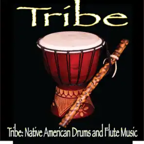 Tribe: Native American Drums and Flute Music