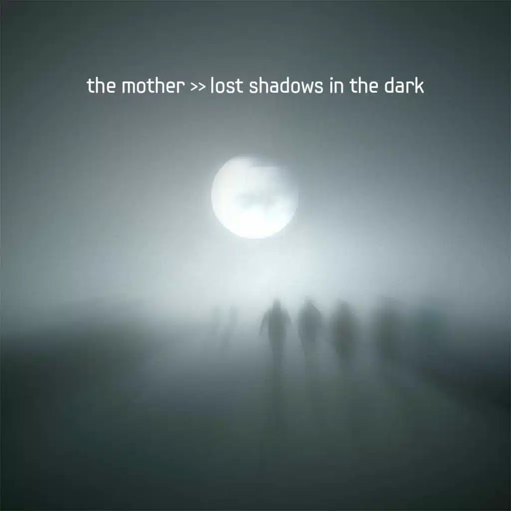 Lost Shadows in the Dark