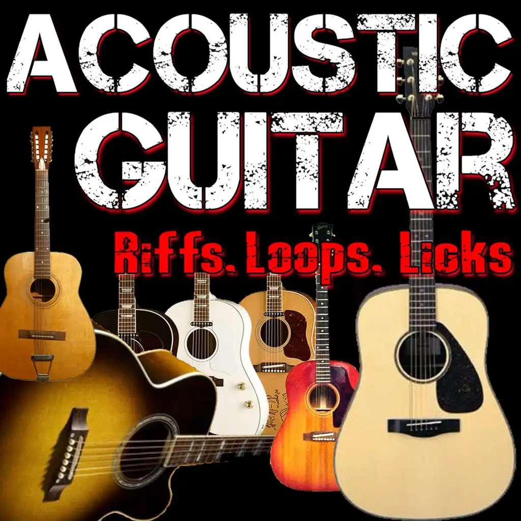 Acoustic Folk Rock Twelve String Guitar