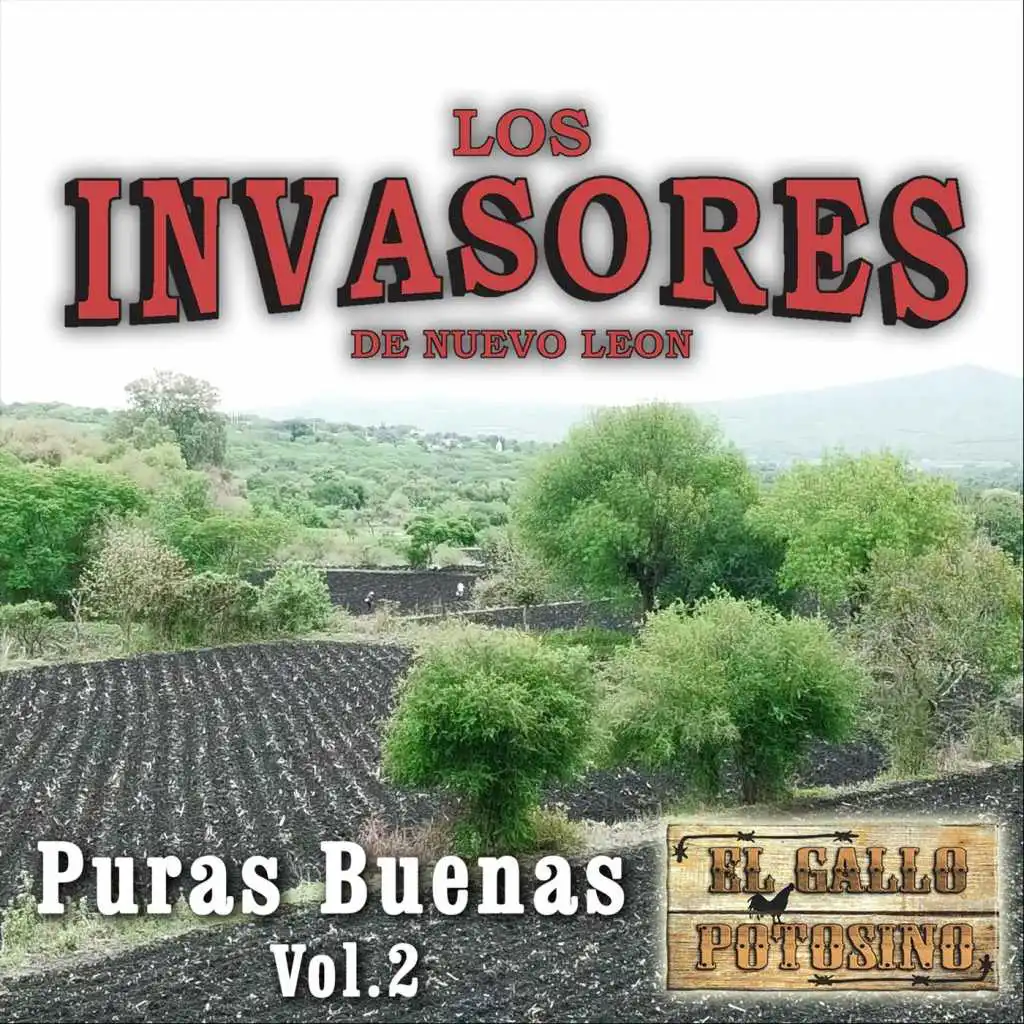 La Viuda Con Dinero (feat. El Gallo Potosino)