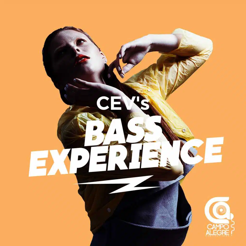 Bass Experience