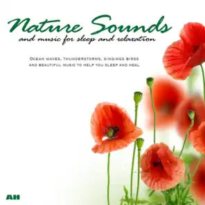 Nature Sound Music
