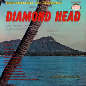 Diamond Head Beach Boys