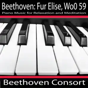 Beethoven: Fur Elise, Woo 59