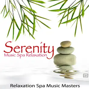 Spa Dreams: the Best of Spa Music and Relaxation