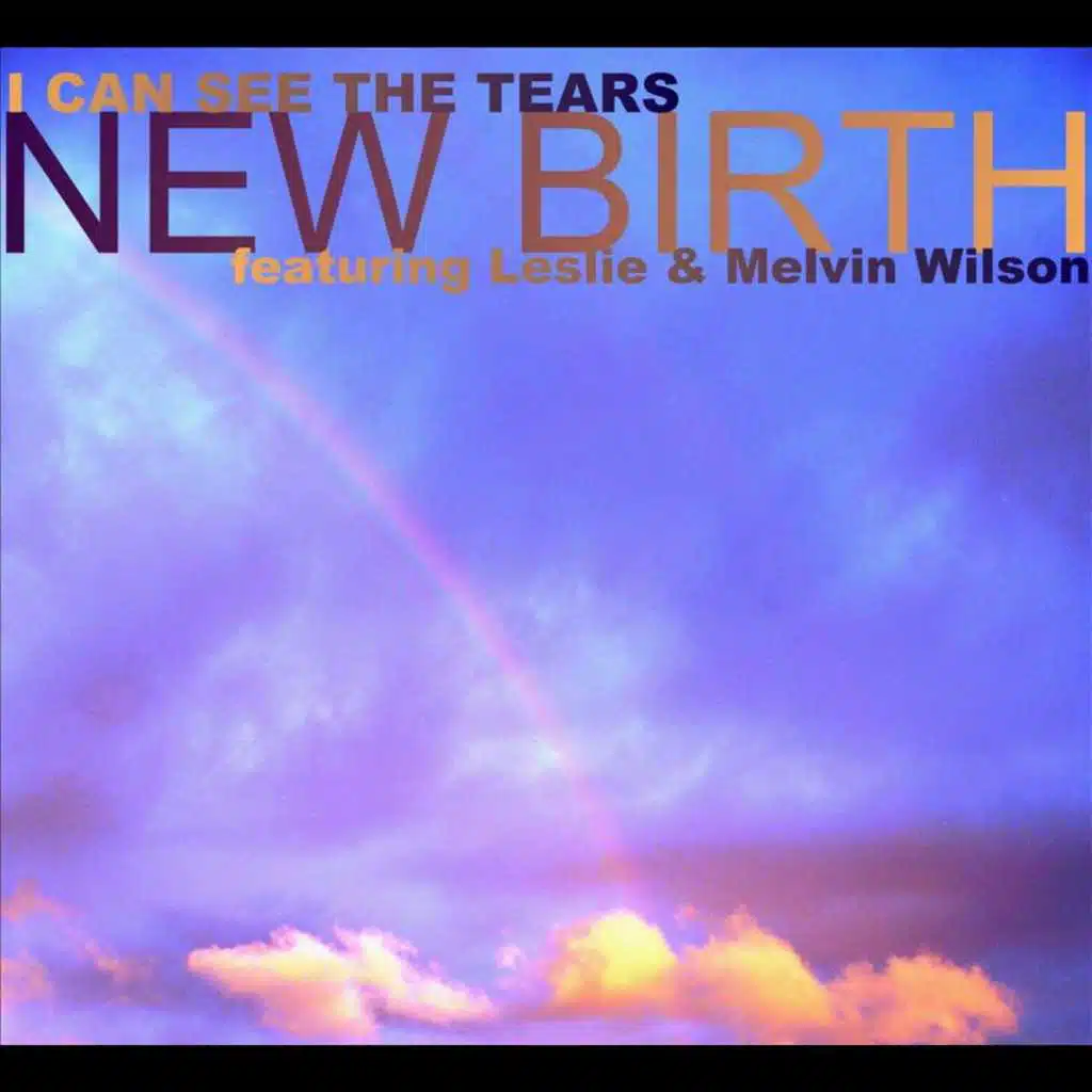 I Can See the Tears (feat. Leslie & Melvin Wilson)