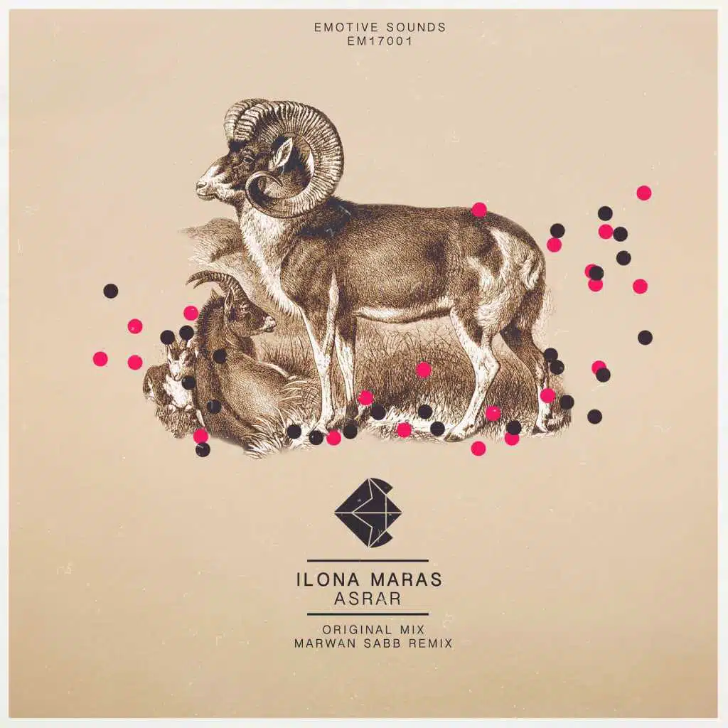 Asrar (Marwan Sabb Remix)